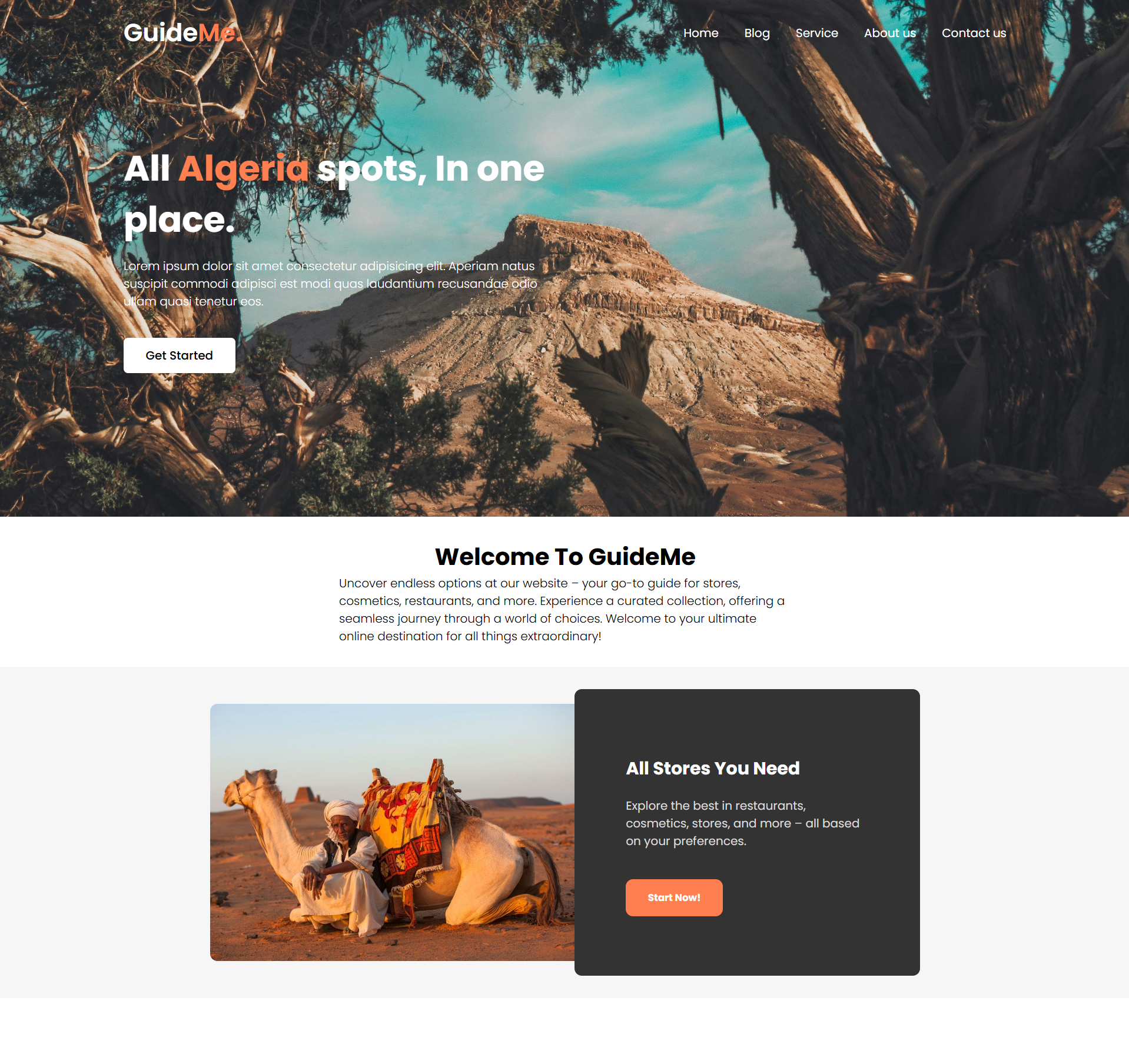 Tourist Guide Website